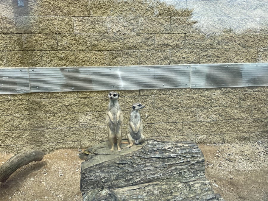 Soukromá ZOO Sedlec