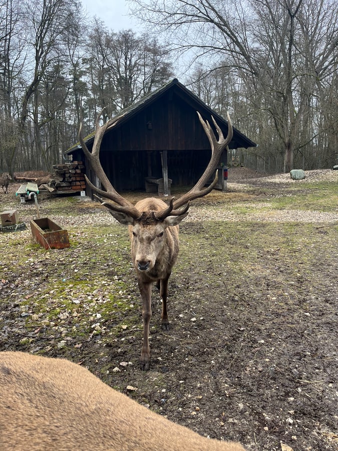 Wild- und Freizeitpark Höllohe