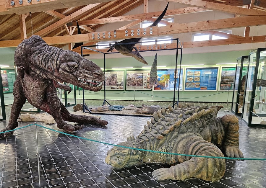 Muzeum Soos