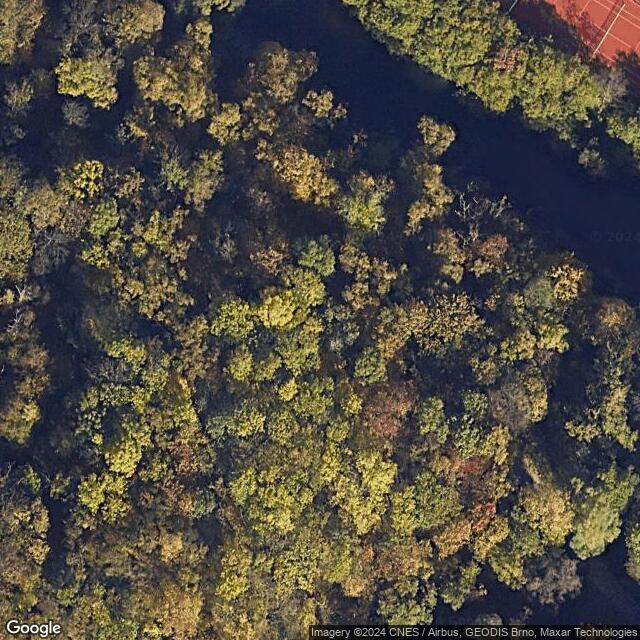 Jungle park