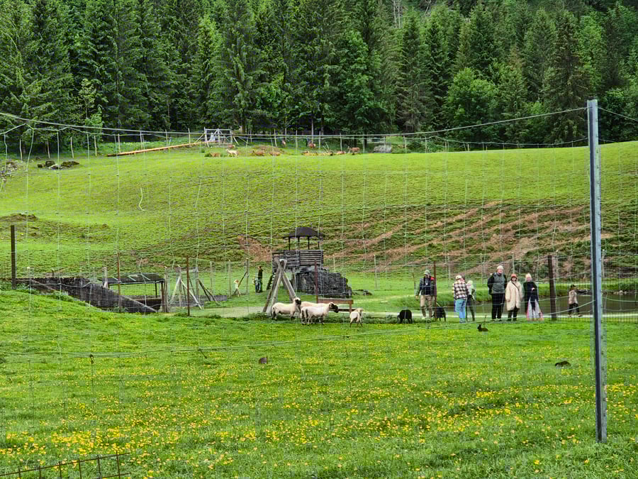 Wildpark Untertauren - zoopark a dětské hřiště