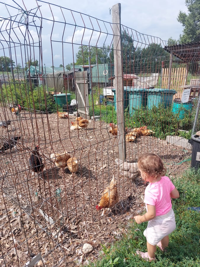 Metro Farm 