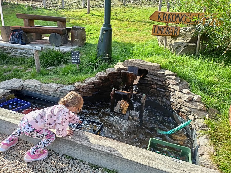 Krkonošský limobar