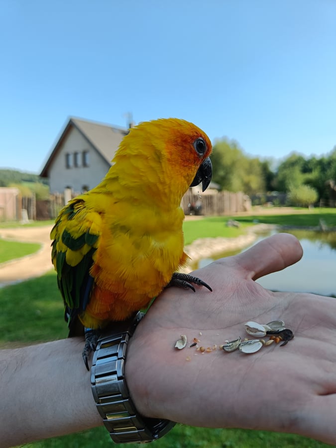 ZOObaczysko 