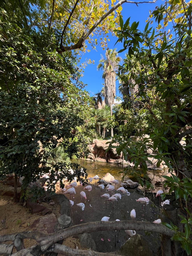 Bioparc Fuengirola