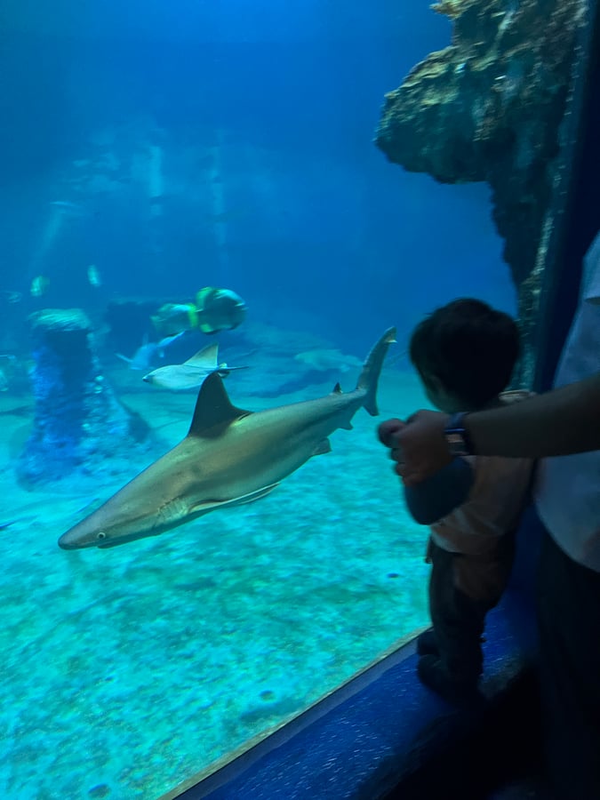 ZOO Wroclaw