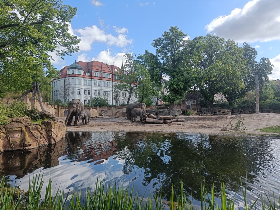 Leipzig, Zoo