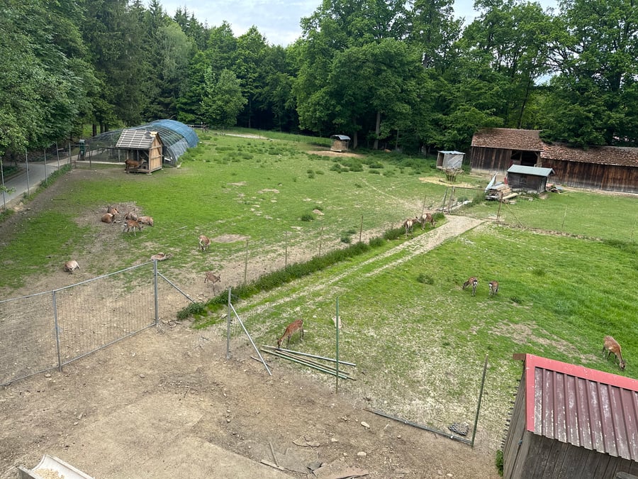 Furth im Wald-Sengenbühl, Wildgehege Steinbruchsee