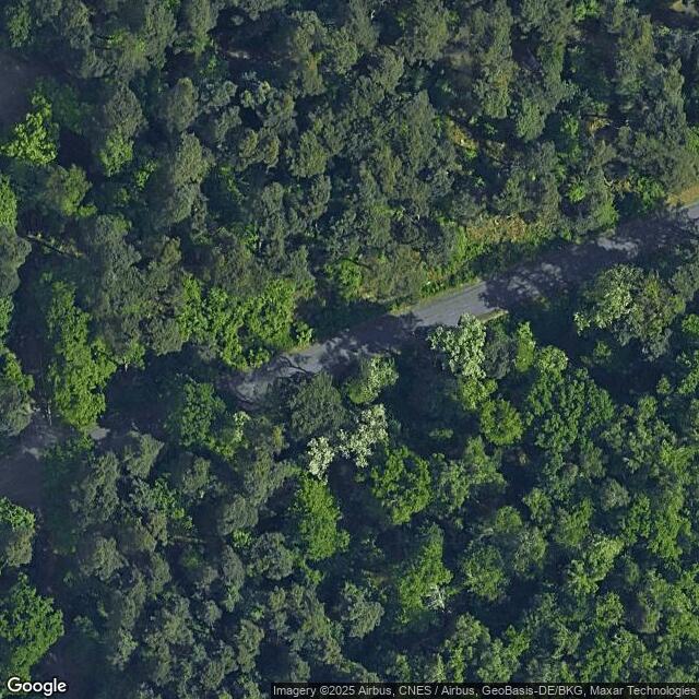 Mannheim-Friedrichsfeld, Wildgehege Rheinauer Wald / Dossenwald
