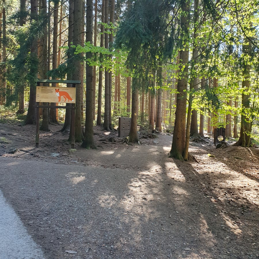 Liščí Stezka