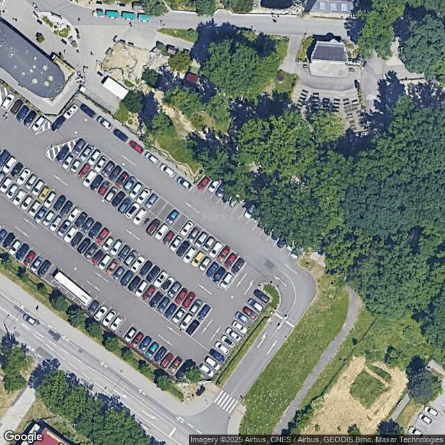 Den pro slony v Zoo Ostrava