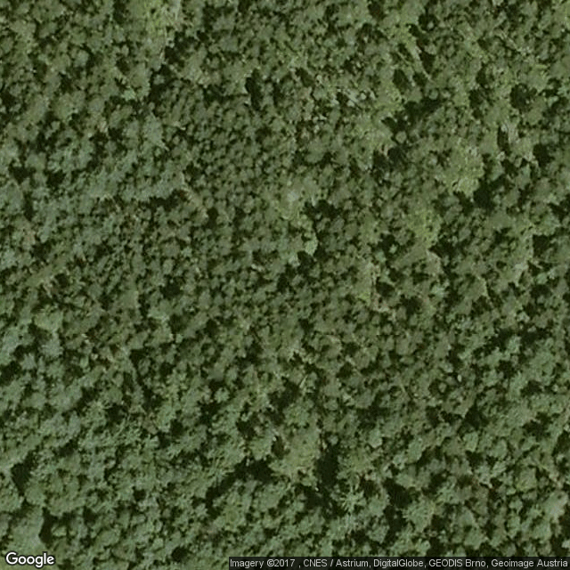 Rašeliniště Borková