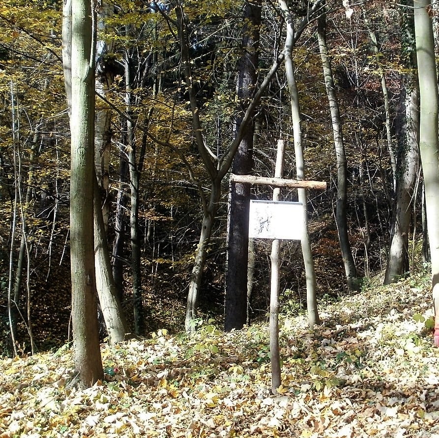 Sázava