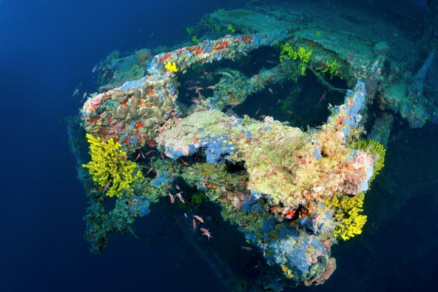 Wreck of SMS Kaiser Franz Josef I