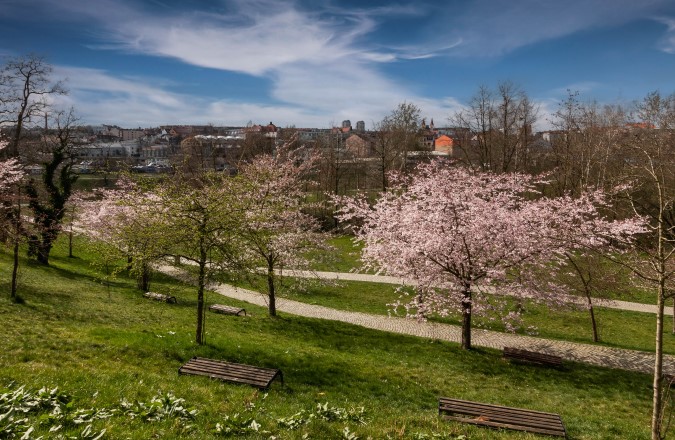 Park u Ježíška