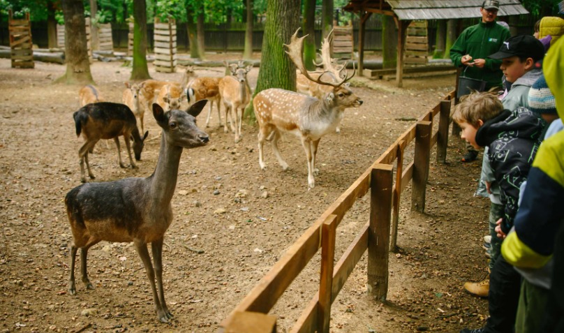 Zookoutek Malá Chuchle