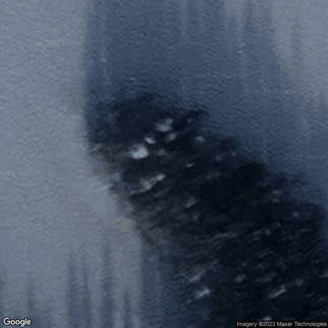 Niemijärven laavu