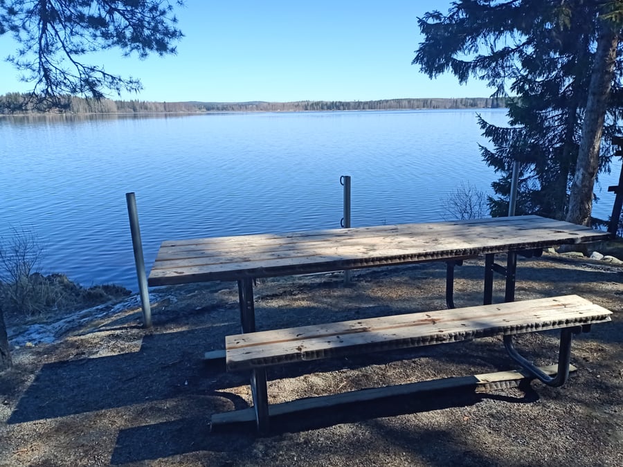 Saunaniemen kota