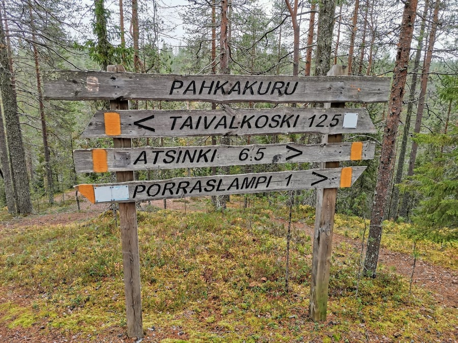 Pahkakurun laavu