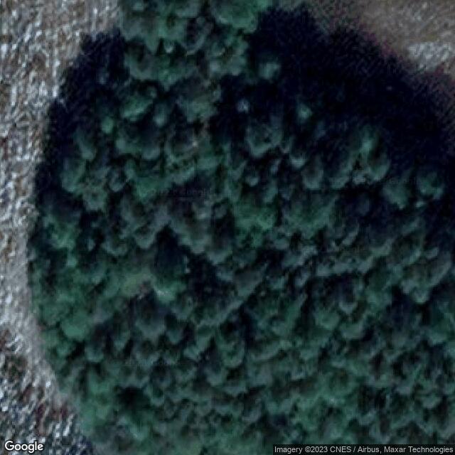 Haapakota
