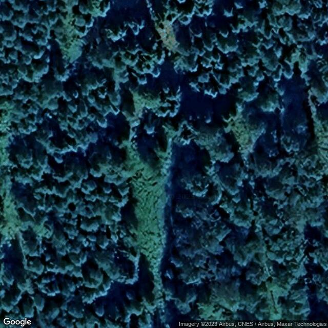 Kauniston laavu