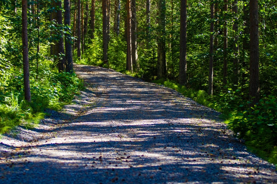Haapasaaren laavu