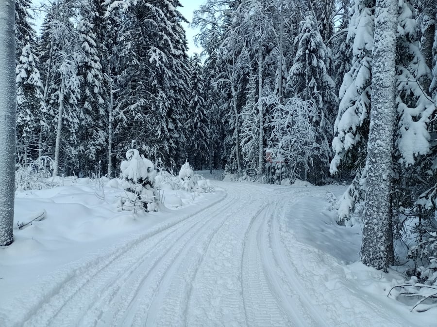 Pilvilammen ladut