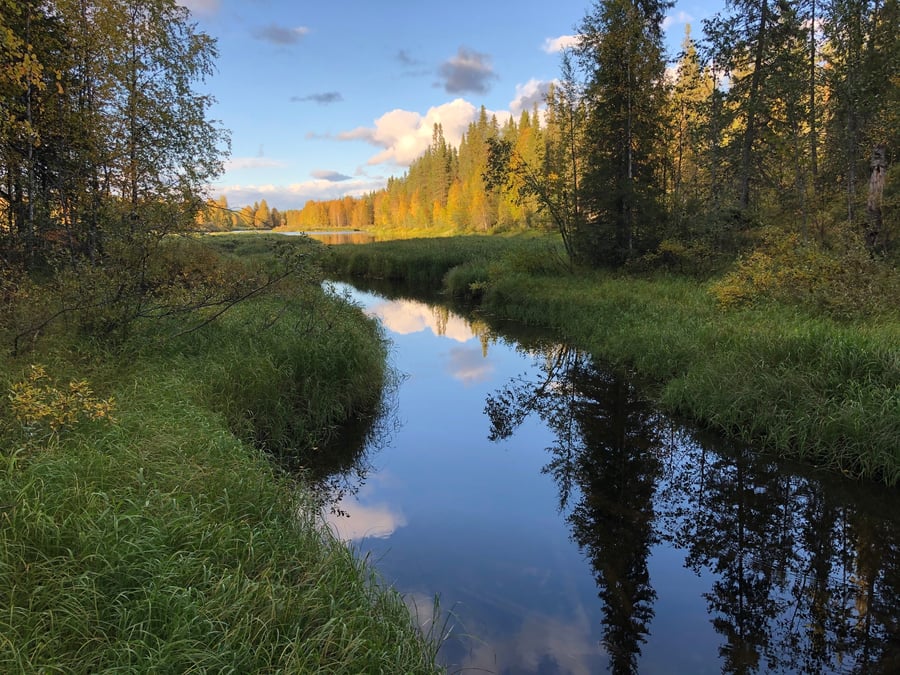 Taivalvaaran luontopolku