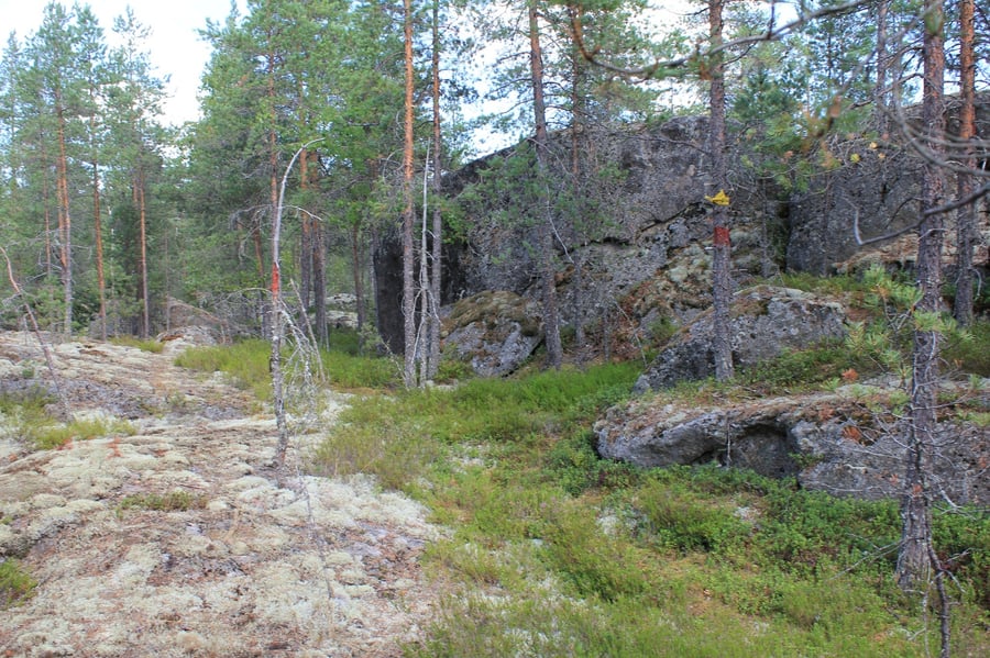 Prännin patikka