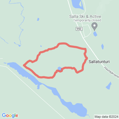 Metsänkuninkaan polku
