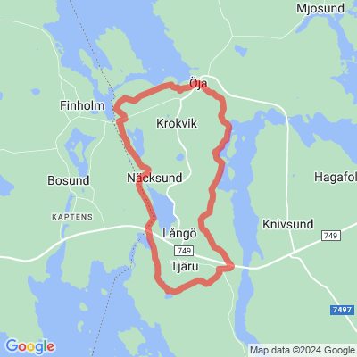 Håkin lenkki