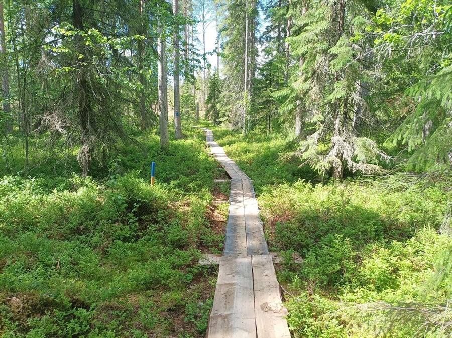Väliveden ulkoilureitti