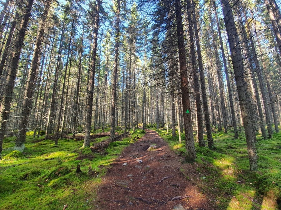Lohtaja - Pirunvaara - Kirkkokallio
