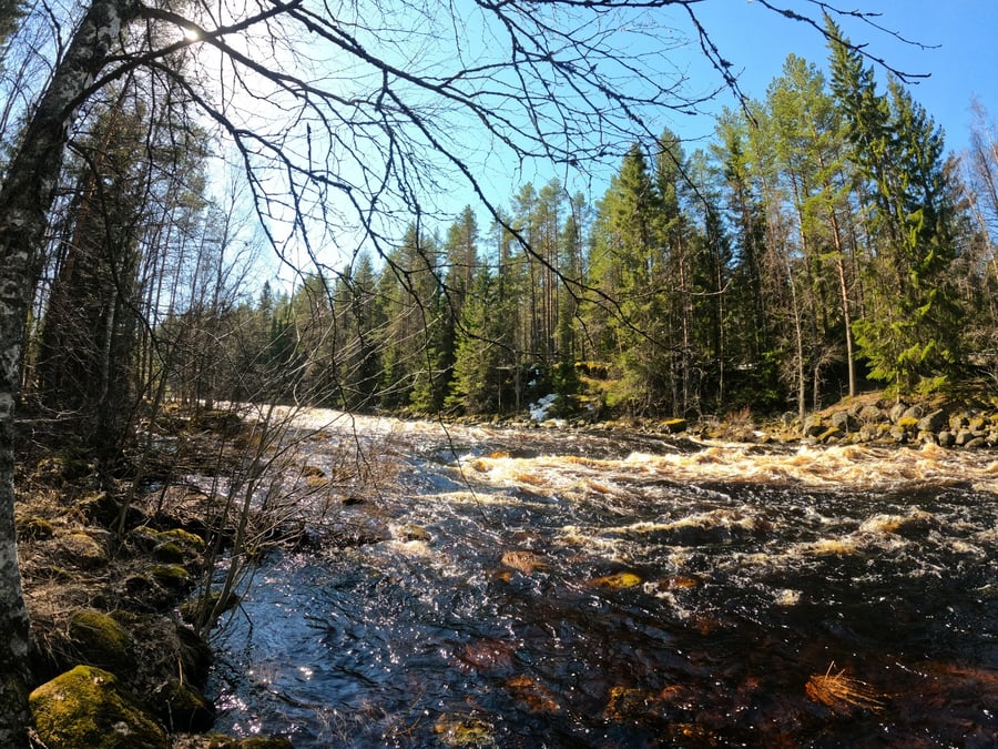 Luvankosken luontopolku