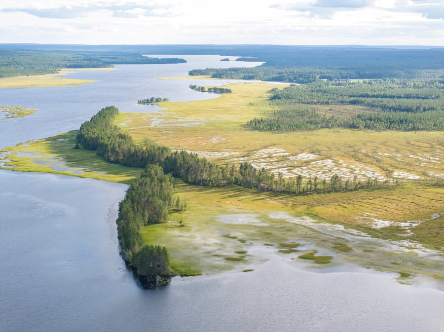 Kalmosärkän polku