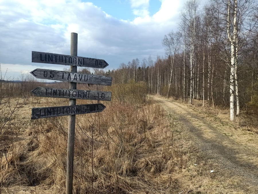 Patalahden lintutornipolku