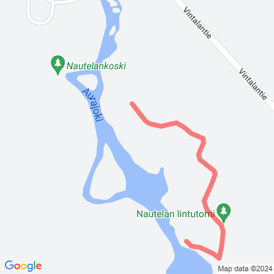 Nautelankosken luonnonsuojelualueen polut