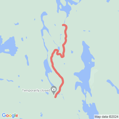 Koppalon aarniometsän luontopolku