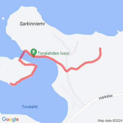 Meidän metsäpolku