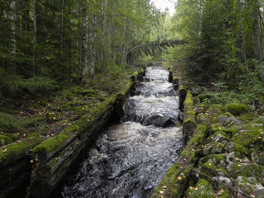 Kilpelänkankaan polku