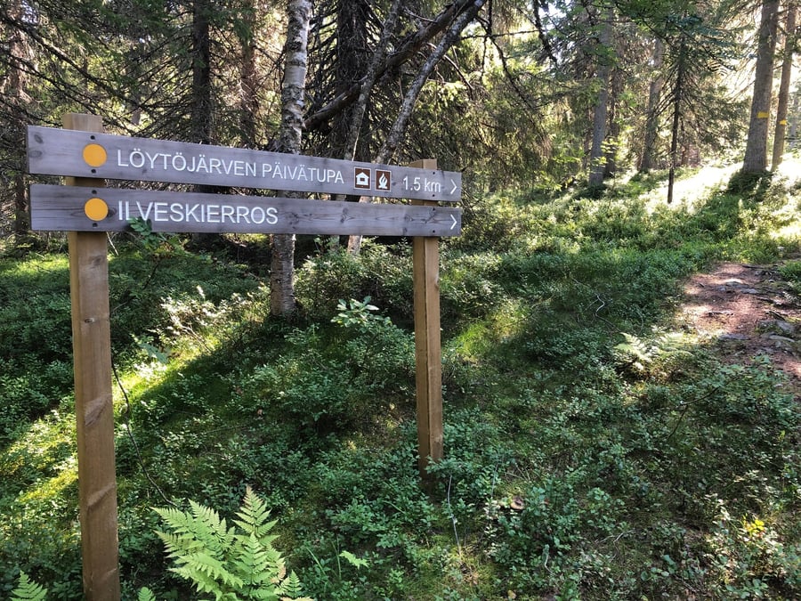 Ilveskierros