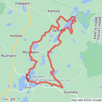 Sorsakolun lenkki