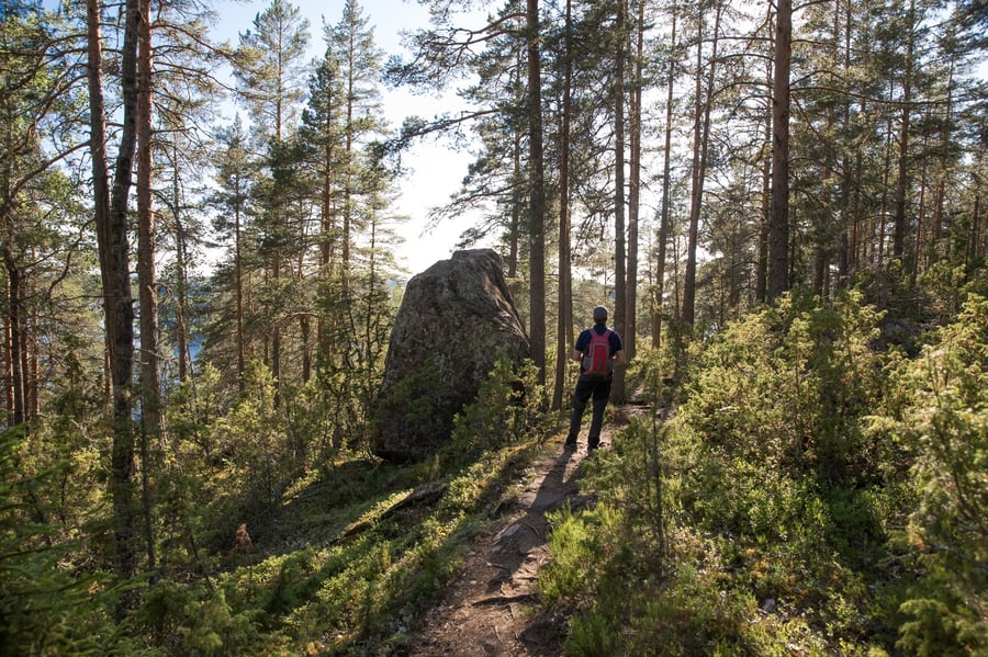Linnansaari luontopolku