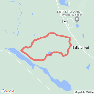 Metsänkuninkaan polku