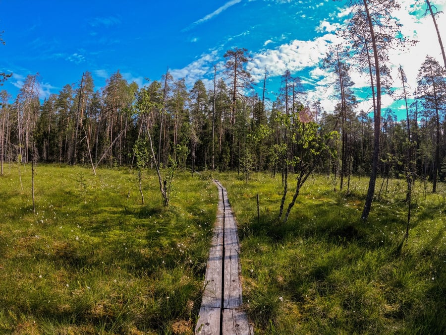 Saarijärven kierros