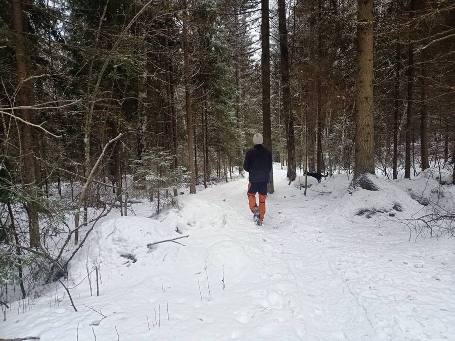 Aulanko Aulangonjärven polku