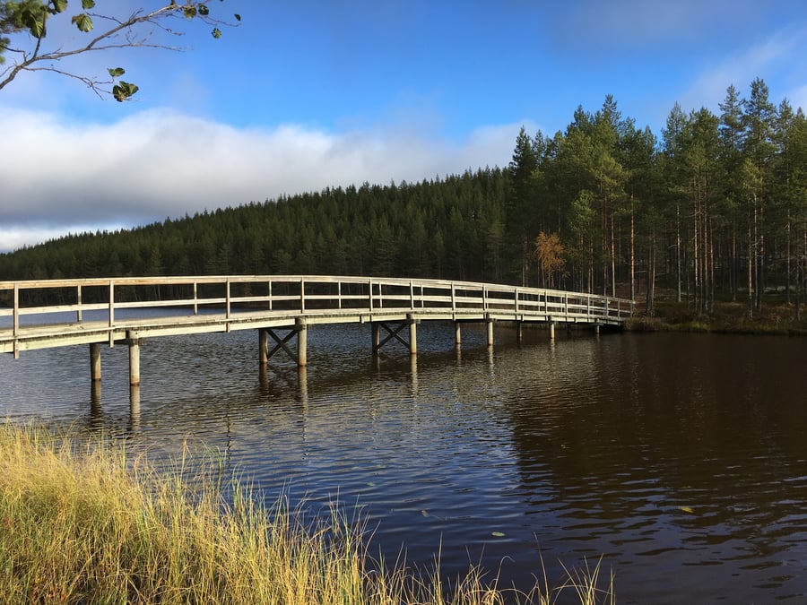 Syväjärven polku