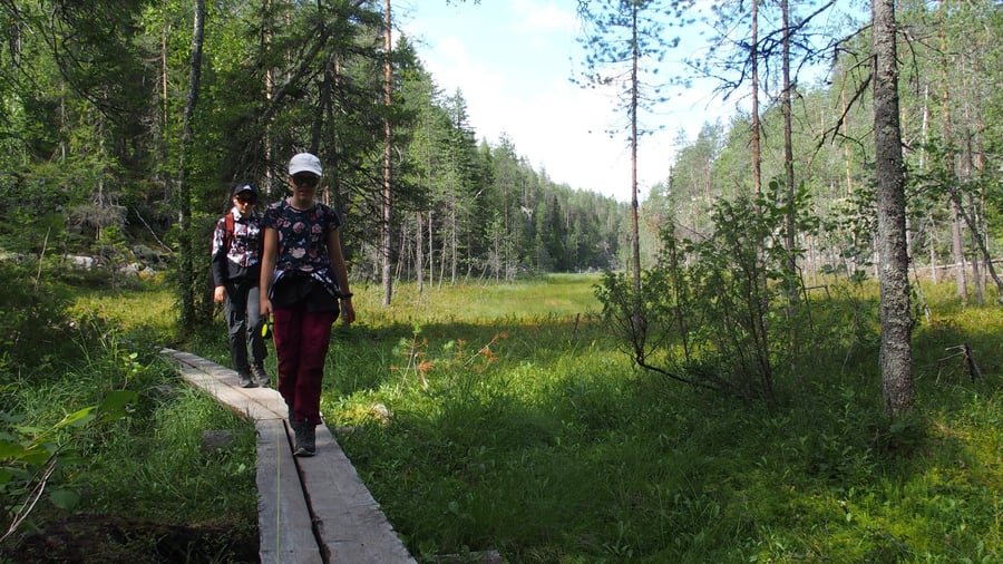 Hiidenportin kansallispuiston retkeilypolku