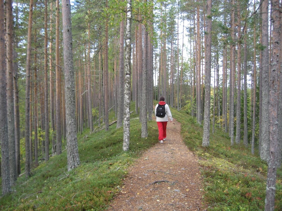 Sininen polku