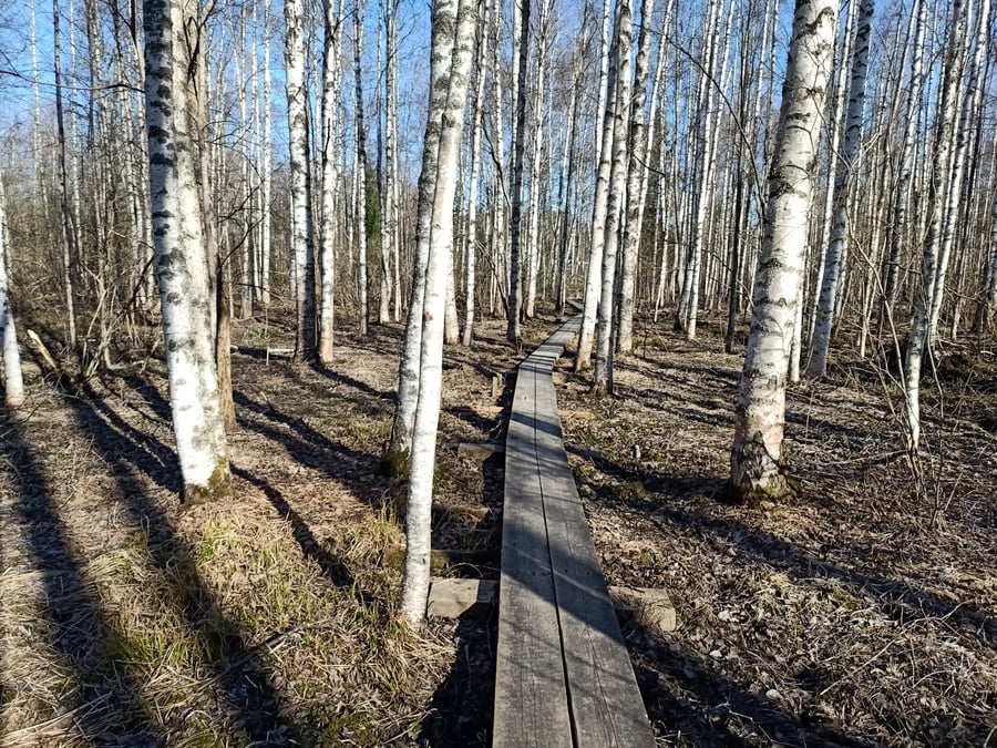 Tuusulanjärvi pitkospolku